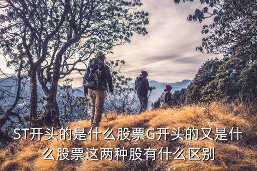 ST開頭的是什么股票G開頭的又是什么股票這兩種股有什么區(qū)別