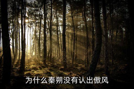 秦朔為什么離職，為什么秦朔沒有認(rèn)出傲風(fēng)