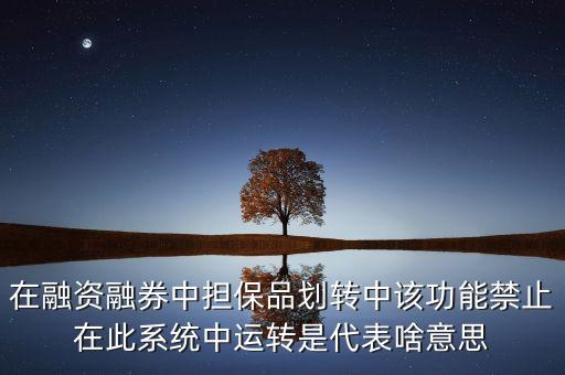 在融資融券中擔(dān)保品劃轉(zhuǎn)中該功能禁止在此系統(tǒng)中運轉(zhuǎn)是代表啥意思