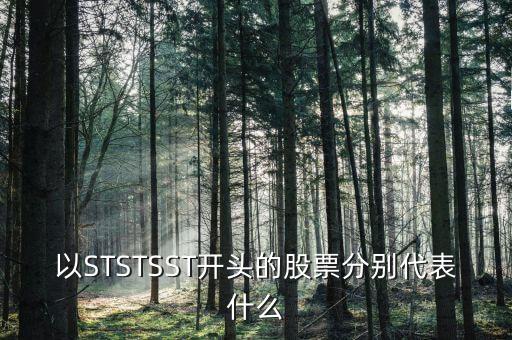 以STSTSST開頭的股票分別代表什么