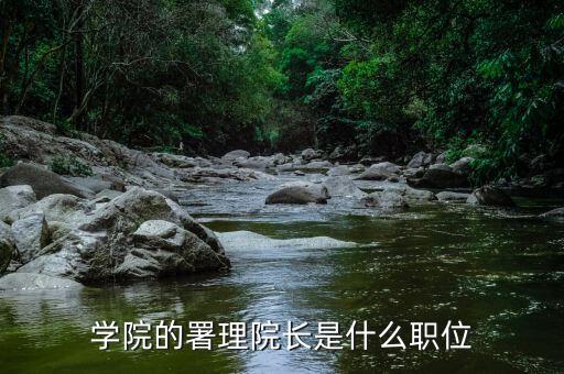 署理主席是什么意思，暑理是什么職務(wù)