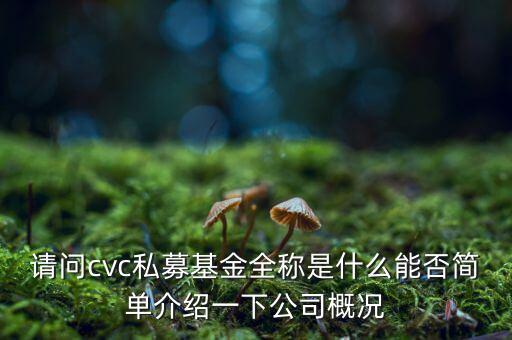 cvc集團(tuán)還有什么投資，著名私募基金有哪些分別是哪家公司發(fā)行的