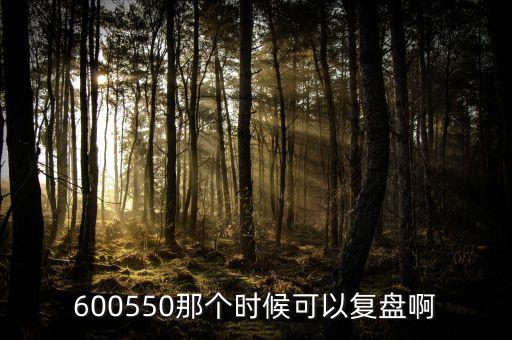 600550那個時候可以復盤啊