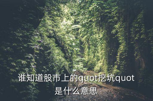 誰知道股市上的quot挖坑quot是什么意思