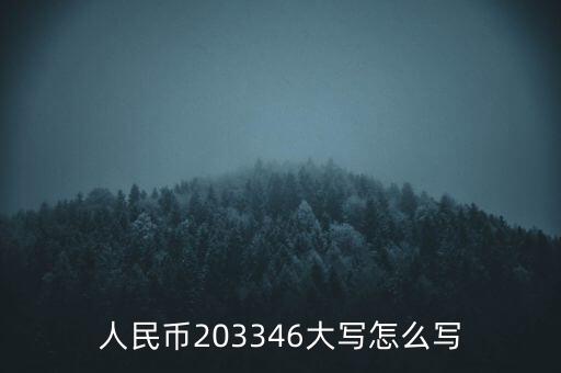 人民幣203346大寫怎么寫