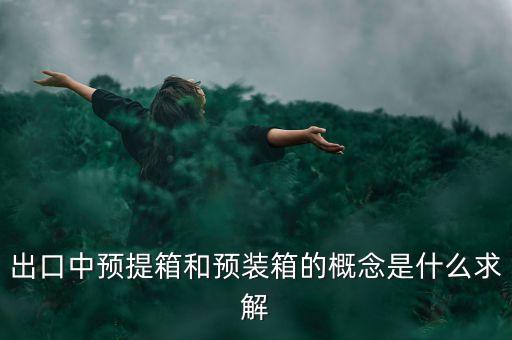 出口中預(yù)提箱和預(yù)裝箱的概念是什么求解