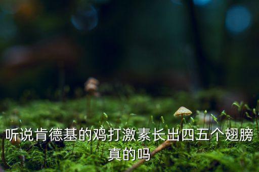 聽說肯德基的雞打激素長(zhǎng)出四五個(gè)翅膀真的嗎