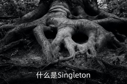 什么是Singleton