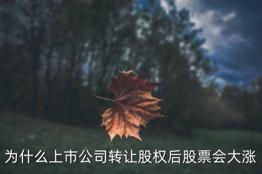 為什么上市公司轉(zhuǎn)讓股權(quán)后股票會(huì)大漲