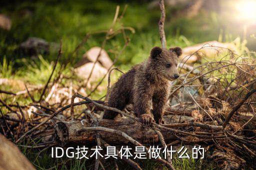 IDG技術(shù)具體是做什么的