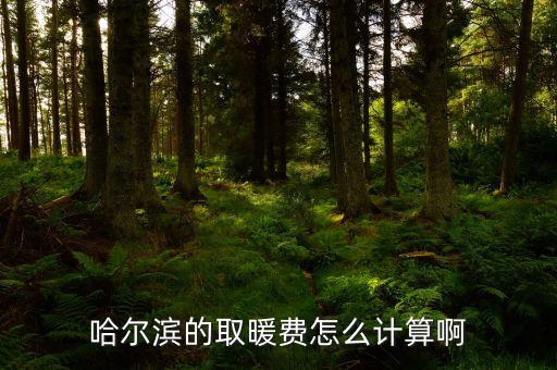 非居民用熱是什么意思，暖氣費居民安23一平非居民按34一平什么意思