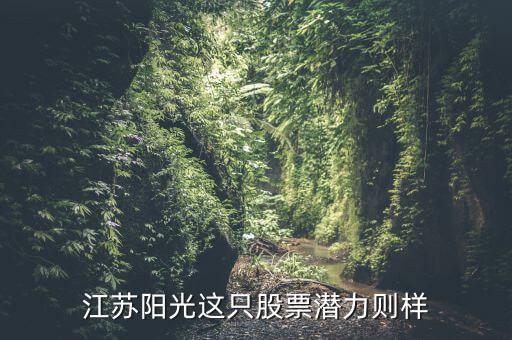 江蘇陽光這只股票潛力則樣