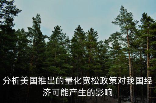 分析美國推出的量化寬松政策對我國經濟可能產生的影響