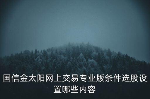 國信金太陽網(wǎng)上交易專業(yè)版條件選股設(shè)置哪些內(nèi)容