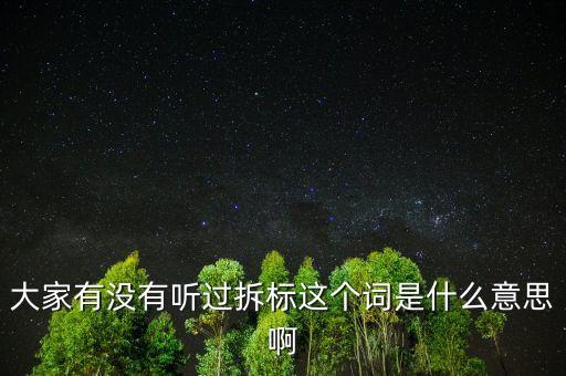 拆標(biāo)是什么意思，P2P平臺(tái)拆標(biāo)是什么意思