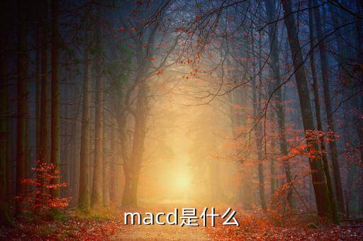 macd什么意思，macd的含義是什么要簡單明了