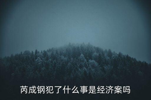 芮成鋼犯了什么事是經(jīng)濟(jì)案嗎