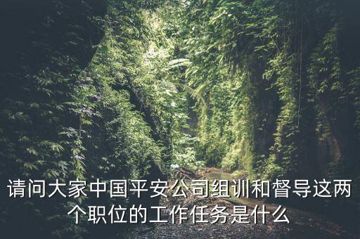 請(qǐng)問(wèn)大家中國(guó)平安公司組訓(xùn)和督導(dǎo)這兩個(gè)職位的工作任務(wù)是什么