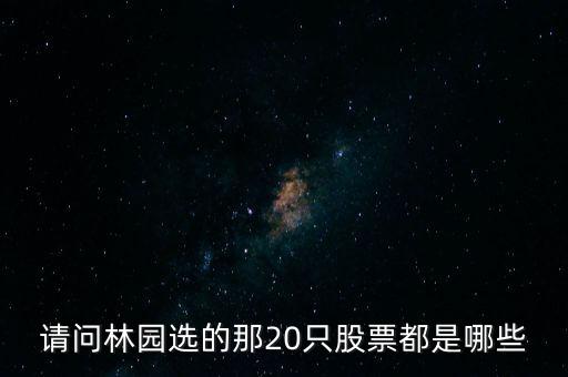 請(qǐng)問林園選的那20只股票都是哪些