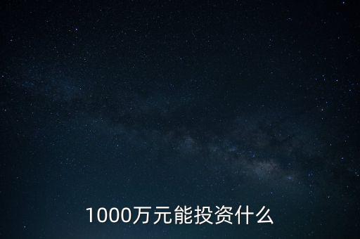 1000萬(wàn)元能投資什么