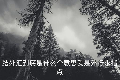 結(jié)外匯到底是什么個(gè)意思我是外行求指點(diǎn)