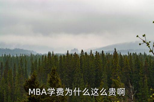 MBA學費為什么這么貴啊