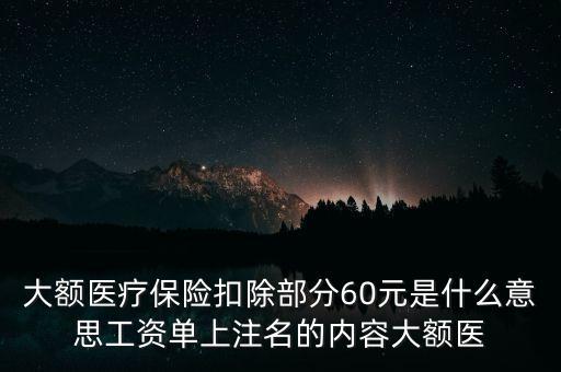 大額醫(yī)療保險扣除部分60元是什么意思工資單上注名的內(nèi)容大額醫(yī)