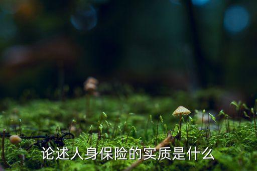 什么是實質(zhì)保障，論述人身保險的實質(zhì)是什么