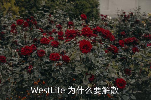 WestLife 為什么要解散