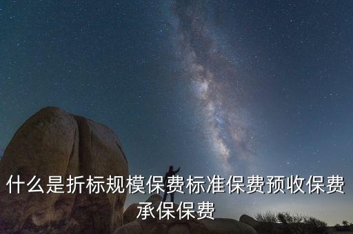 什么是折標規(guī)模保費標準保費預收保費承保保費