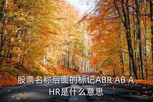 股票名稱后面的標(biāo)記ABR AB AHR是什么意思