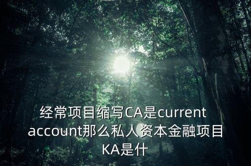 經(jīng)常項(xiàng)目縮寫CA是current account那么私人資本金融項(xiàng)目KA是什