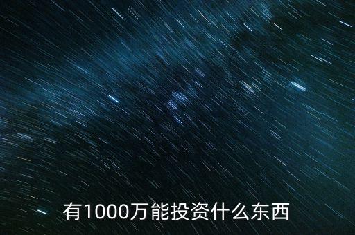 1000萬投資什么好，有1000萬能投資什么東西