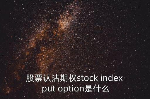 股票認沽期權stock index put option是什么