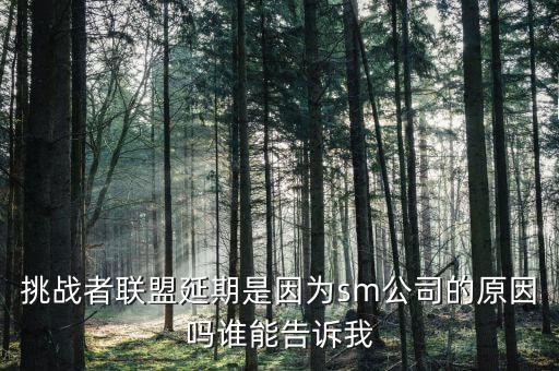 挑戰(zhàn)者聯(lián)盟延期是因為sm公司的原因嗎誰能告訴我