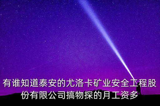 有誰知道泰安的尤洛卡礦業(yè)安全工程股份有限公司搞物探的月工資多