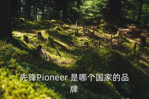 先鋒電子什么時(shí)候上市，pioneer先鋒手機(jī)什么時(shí)候上市