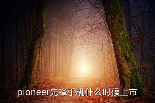 pioneer先鋒手機(jī)什么時候上市