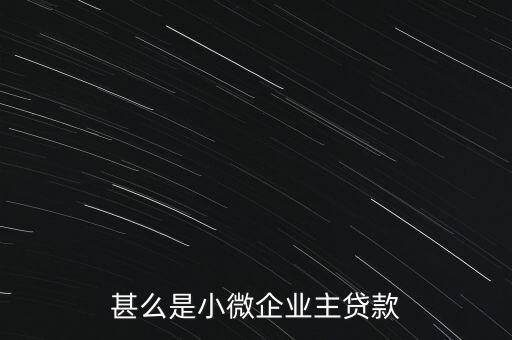 甚么是小微企業(yè)主貸款