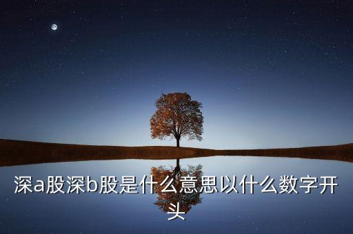 深b股是什么意思，上證A股上證B股深證A 股深證B股深滬A股深滬B股這都