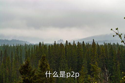 什么是p2p