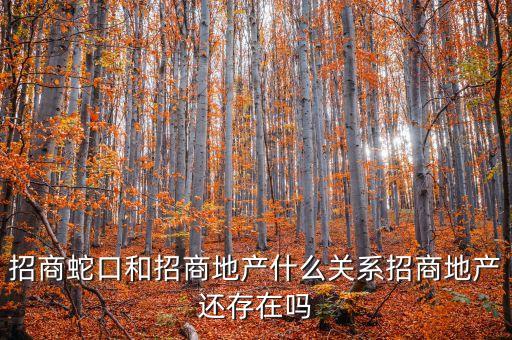 招商蛇口和招商地產(chǎn)什么關系招商地產(chǎn)還存在嗎