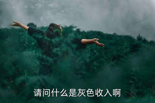 請(qǐng)問(wèn)什么是灰色收入啊