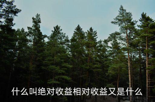 什么叫絕對(duì)收益相對(duì)收益又是什么