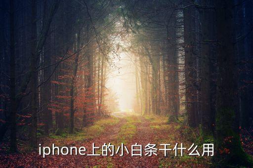 iphone上的小白條干什么用