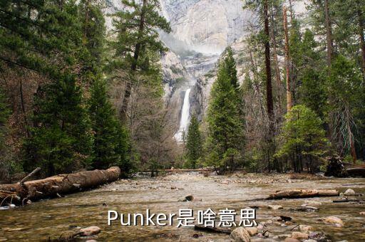 Punker是啥意思