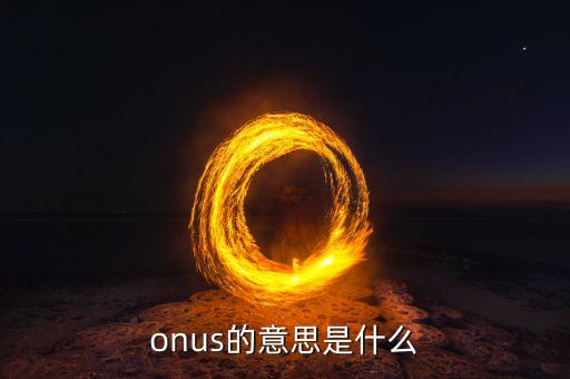 onus的意思是什么