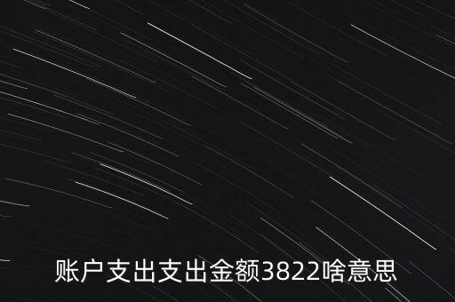 賬戶支出支出金額3822啥意思