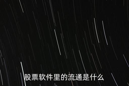 股票軟件里的流通是什么