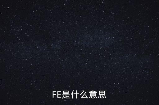 FE是什么意思